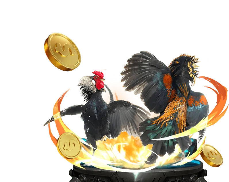 Hoàn trả cược hàng tuần